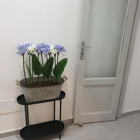Apartmán Teatro Massimo Bellini Nuovo2+3a/c Katánie